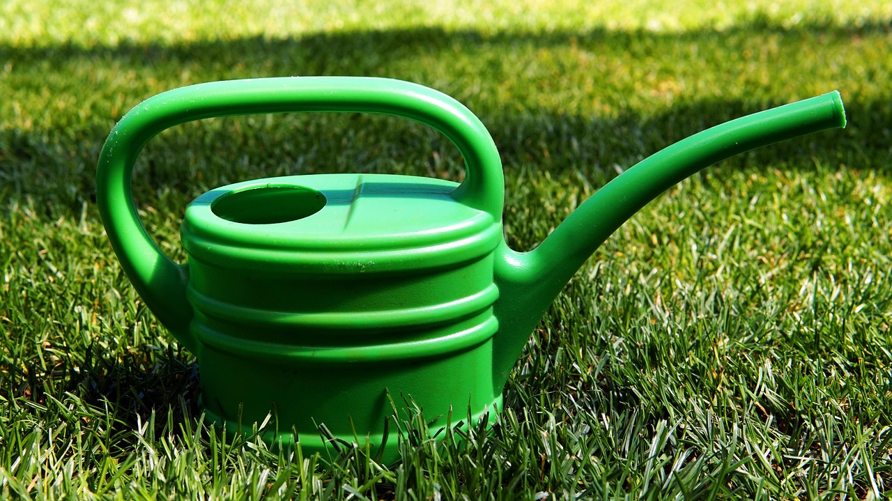 Come migliorare l'efficienza del tuo giardino con la Pompa d’irrigazione manuale