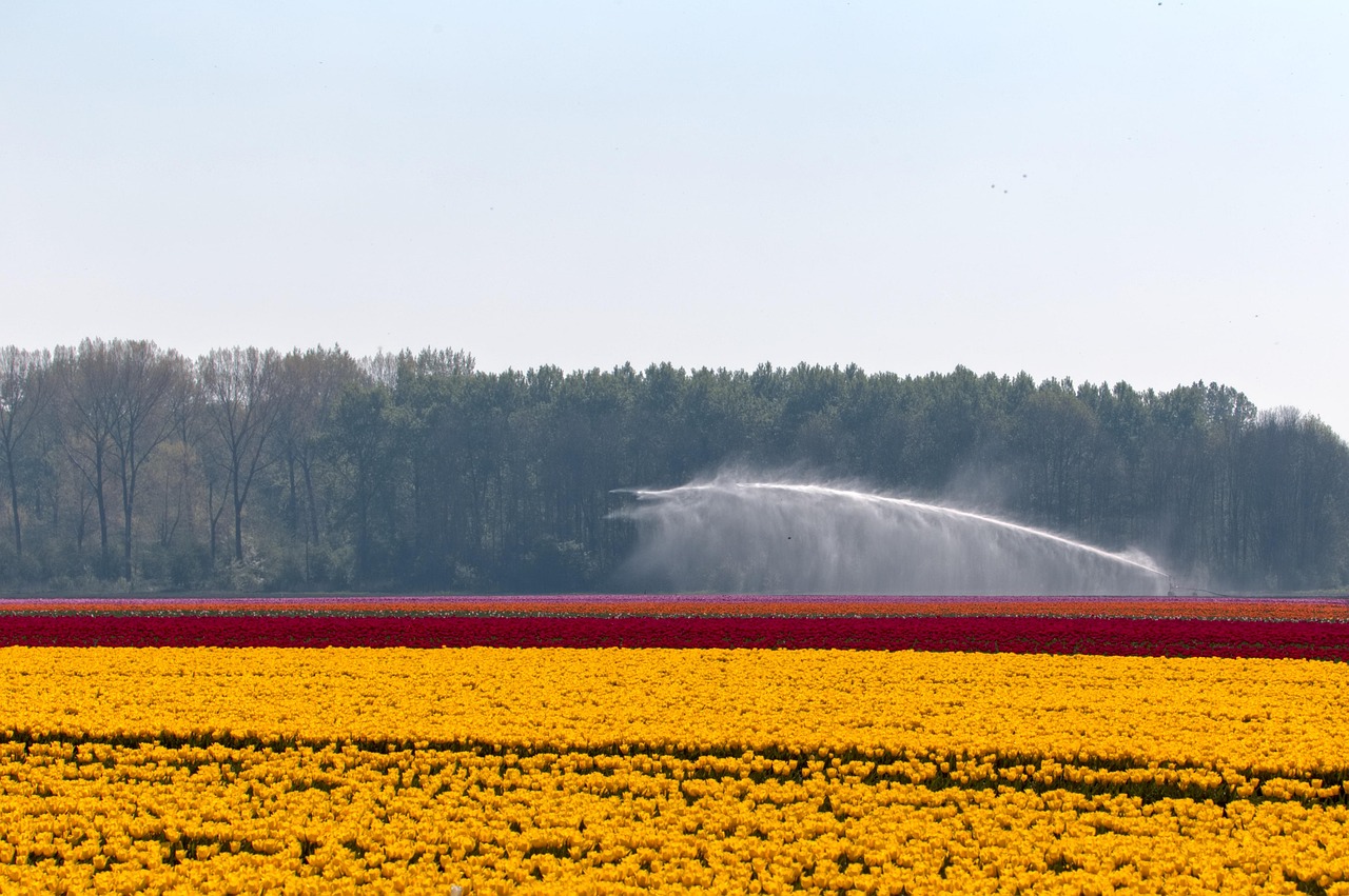 Test in campo: La Pompa d’irrigazione manuale su diversi tipi di piante